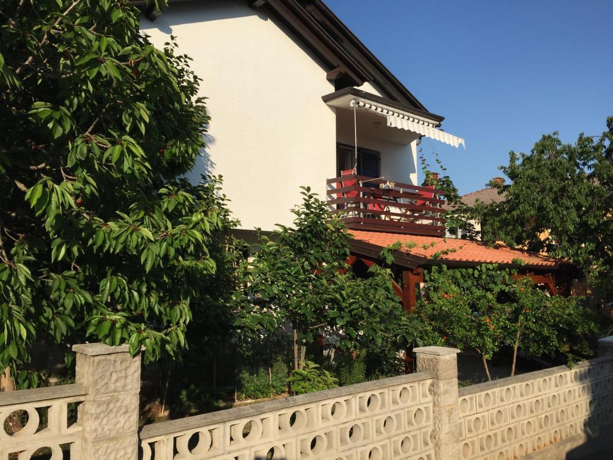 Iva Apartments Novigrad Istria Exteriér fotografie