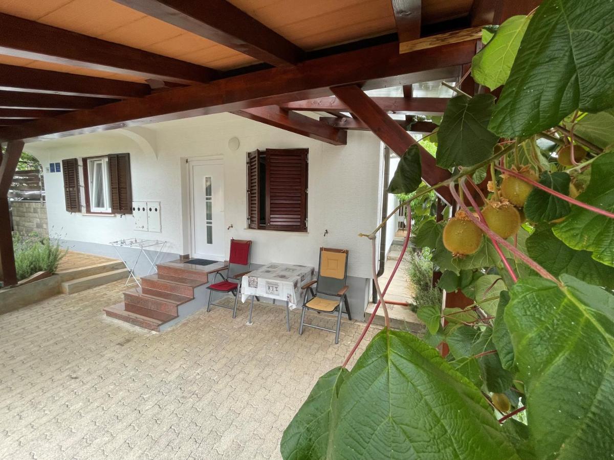 Iva Apartments Novigrad Istria Exteriér fotografie