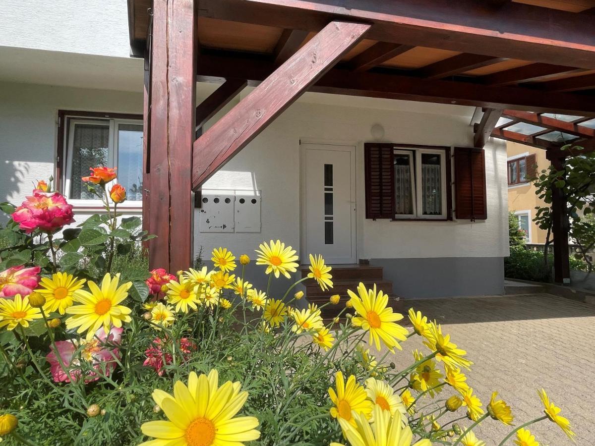 Iva Apartments Novigrad Istria Exteriér fotografie